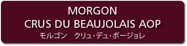 morgon aoc