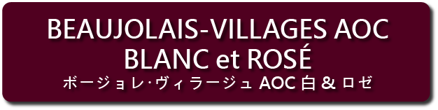 メジア社AOC自然派ワイン ヴィラージュAOC白･ロゼ