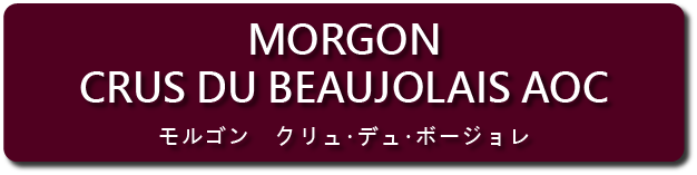 morgon aoc