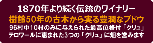 メジア社AOC自然派ワイン Topics