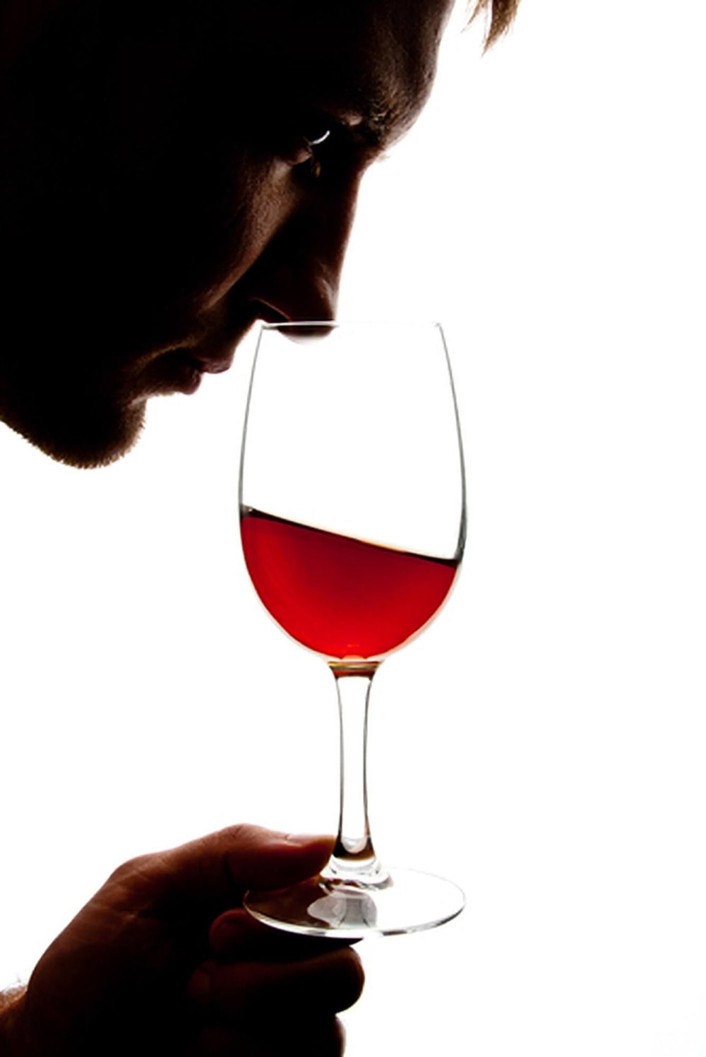 aaa_wine_check_2.jpg