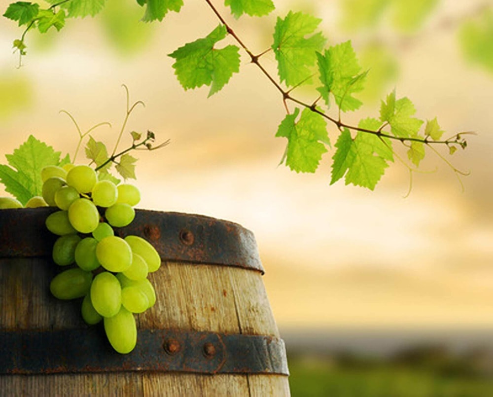 aaa_chardonnay_1.jpg