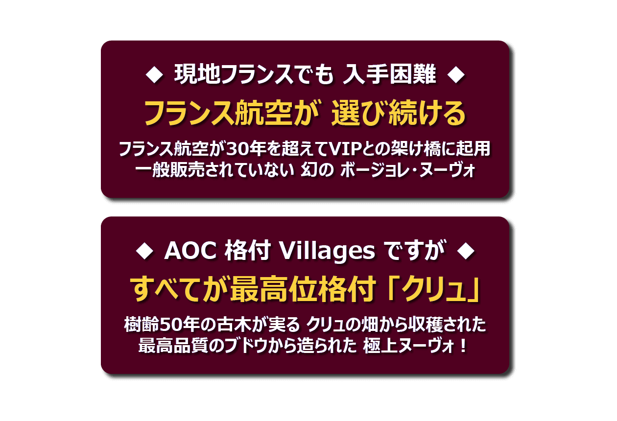 メジア社 ボジョレ・ヴィラージュ・ヌーヴォ