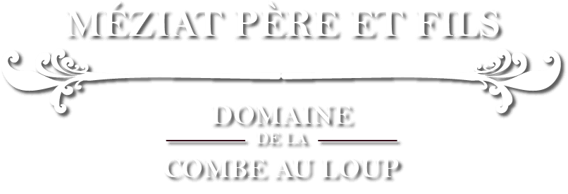 フランスワイン赤ワインメジア･ジャポン